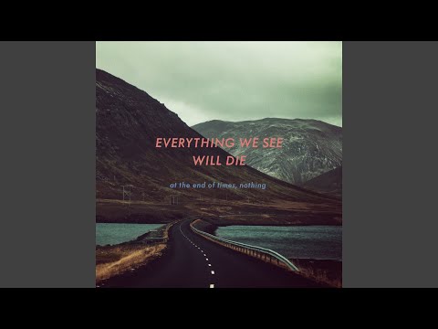 The Ground After A Summer Rain