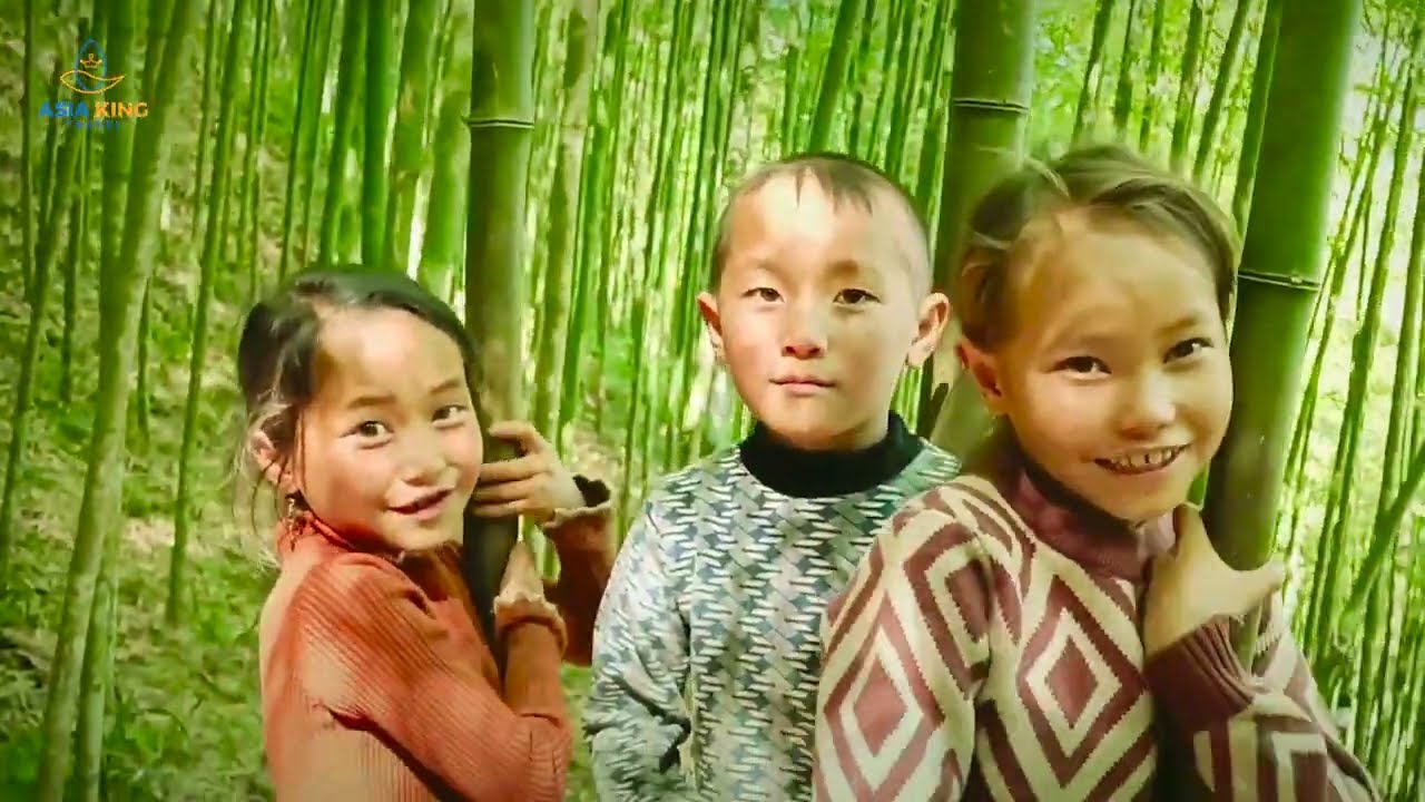 Perso nel cuore della foresta di bambù a Cao Bang - Vietnam