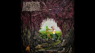 Lesions of a Different Kind Music Video
