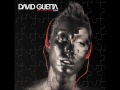 Can't You Feel The Change - Guetta David