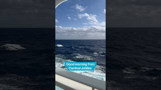 Good morning from the Carnival Jubilee #cruise #carnival ￼