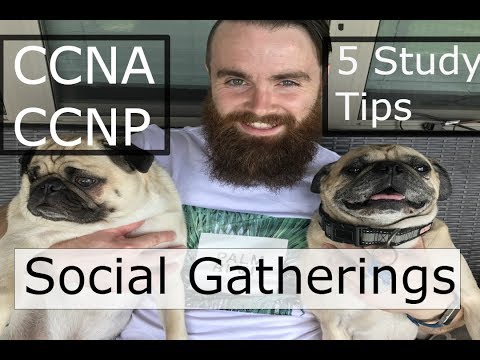 Should I Use a Brain Dump on my CCNA CCNP MCSA Exam