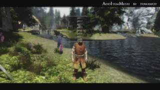 TES V Skyrim Mods: AddItemMenu by towawot