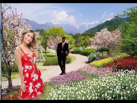 CALIMEROS DEIN ROTES KLEID