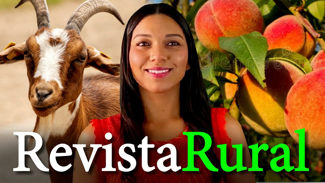 PROGRAMA REVISTA RURAL - 20/10/2024