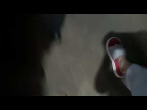 meowseph stalin and black cat