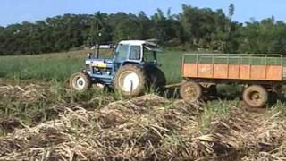 preview picture of video 'Harvesting Your Sugar by Jerry Lames'