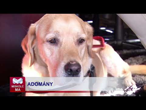 Videó előnézet