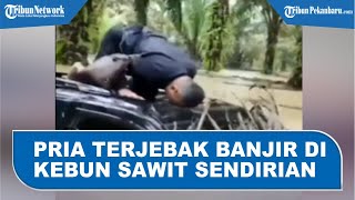 Download lagu Viral Pengendara Mobil Terjebak Banjir Sendirian di kebun Sawit, Sujud Syukur saat Tim Penyelamat mp3