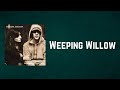 Richard Ashcroft - Weeping Willow (Lyrics)