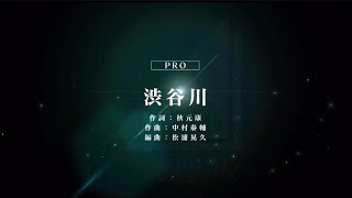【ユニゾンエアー】渋谷川　Pro フルコンボ