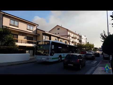 Mundo dos Autocarros - ETG 416