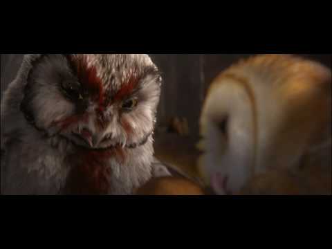 Officiele trailer Legende van Ga'Hoole - 3D