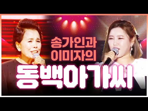 듣기만해도 눈물이 자동으로 나온다! 애절한 보이스 #이미자 #송가인 #동백아가씨