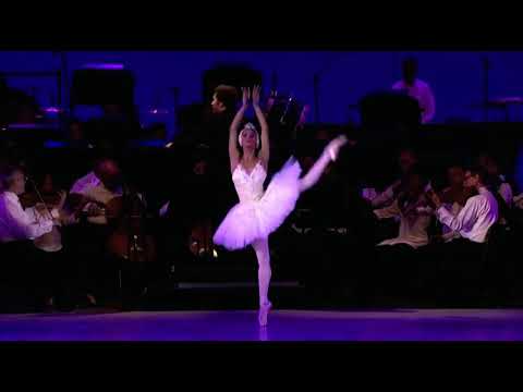 SWAN LAKE - Odette Variation (Misty Copeland)