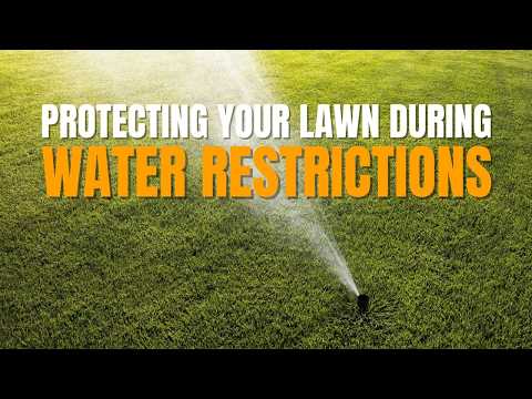 Mandatory Water Restrictions? Here’s How to Keep Your Lawn Alive and Healthy