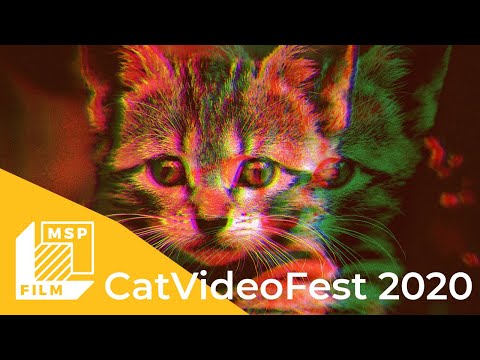 CatVideoFest 2020 (2020) Trailer