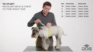 Dog Copenhagen COMFORT WALK AIR FINAL