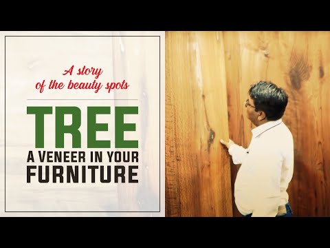 Videos from Natural Veneers