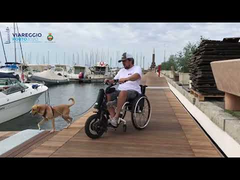 Viareggio Porto - Molo della Madonnina (2020)