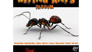 Ward 21 - Calendar (Raw)