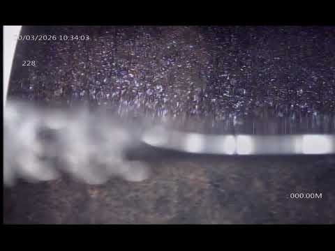 Extracto 228   Angaco   San Juan