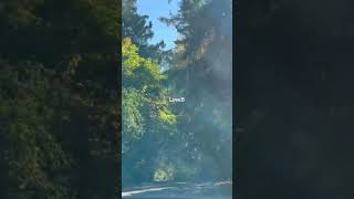 Download lagu Stand By Me by Ben E. King #shorts #canada #music #song #nostalgia mp3