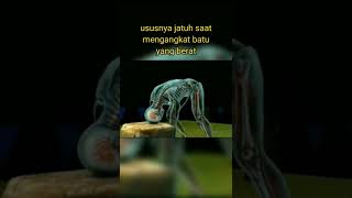 Download lagu KASUS KEMATIAN PALING MENGERIKAN PART 2😱#shorts # mp3