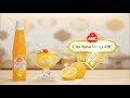 Cita Rasa Sirup ABC Es Sarang Burung