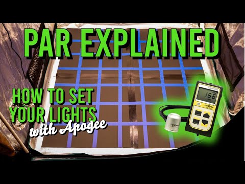 PAR Explained: How To Set Your Lights With Apogee PAR Meter