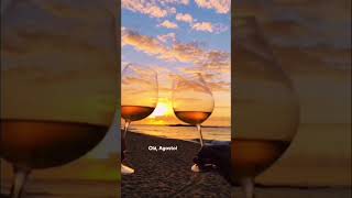 Seja bem-vindo, Agosto! Hora de brilhar! ✨ #vinhotododia