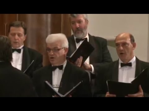 Alfeyev - 'We Sing to Thee' - Belgrade Male Choir (oktavists D. Manić, D. Ljubinkovic, M. Gašić)
