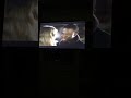 Opening To Lara Croft Tomb Raider 2001 VHS