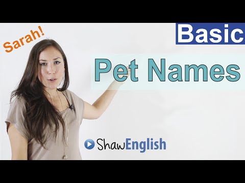 Learn English Nice to Meet You