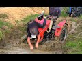 Crazy Tractor Stunt | Traktoriáda Modlíkov 2022