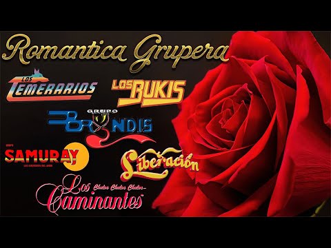 Los Temerarios, Viento Y Sol, Bryndis, Samuray, Bukis y más Mix Romanticas Gruperas 80s y 90s Mix