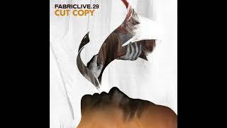 Cut Copy - FABRICLIVE.29 (Album Mix) [No Cuts]