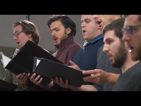 J.D. Zelenka - Miserere (ZWV 57)