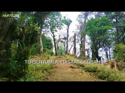 Setia band ft. Echa - tersesat ( Lyric )