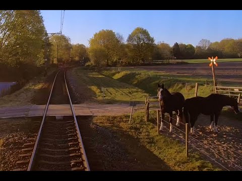 Cabview Holland - Lente 2020 | Cabview Holland - Spring 2020