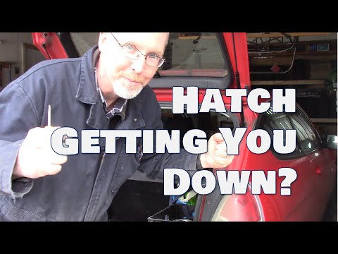 HOW TO: Replace Hatch Lift Supports in 2 minutes