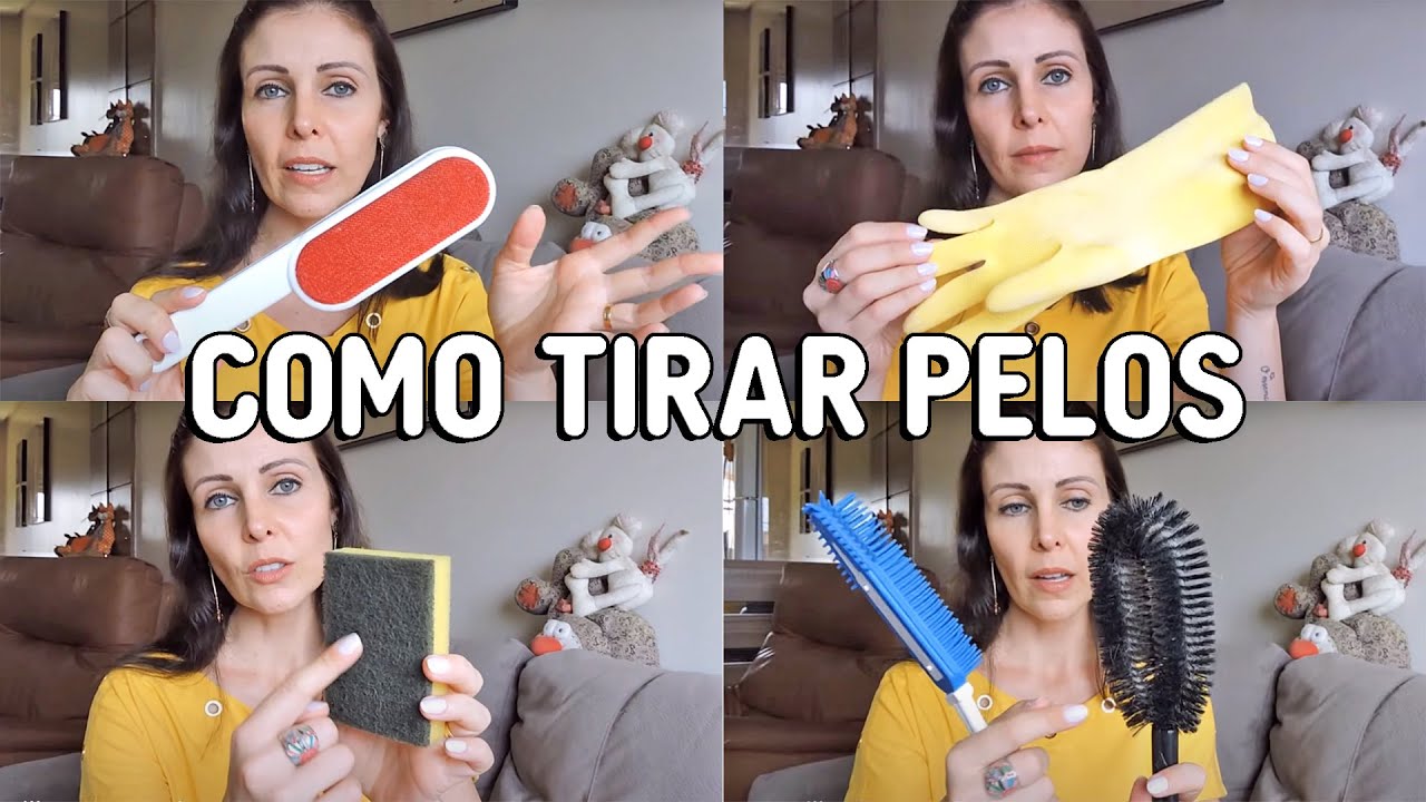 COMO TIRAR PELOS DOS ANIMAIS DO SOFÁ, DAS ROUPAS - Gatil Hauser