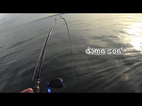 Kayak Blackfish Jigging: PB Male Tog