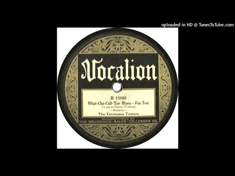 The Tennessee Tooters - What-Cha-Call'Em Blues - 1925 (Hot Jazz)