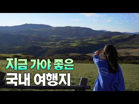 국내 여행의 숨은 보석: 강원도 정선과 평창의 매력