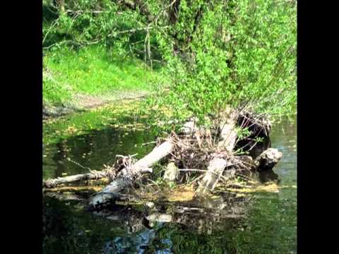 Rathenow  am 22 04 2011