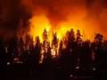 FERRY CORSTEN: FIRE (Goatus  Flashover)