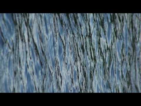 Naast Me video