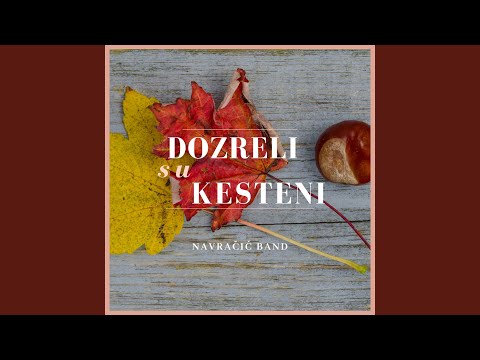 Skrivao sam da te volim