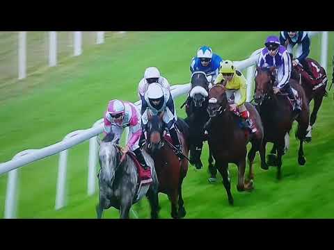 Too darn hot-goodwood sussex stakes 2019